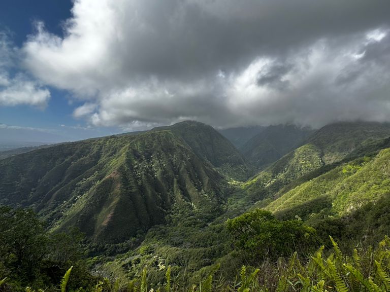 Waihee Ridge Trail photo 4