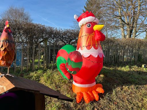 I found this one a little confusing, but I suspected this house gives out free eggs or used to.