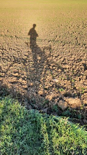 Oggi, sole 🌞 basso a Revignano.