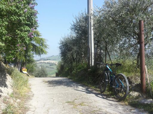 Muro del pianto , per oggi in discesa !!!