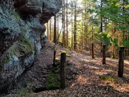 Tête de la gorge aux sangliers et Canceley