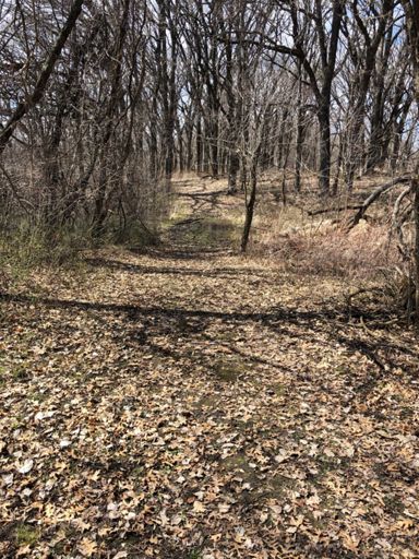 Plenty wet in spots yet