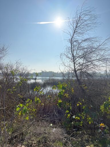 Right in our own backyard 