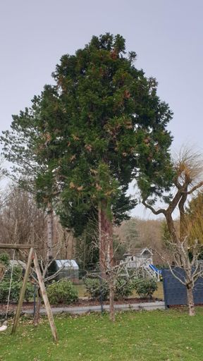 Koenigstein im Taunus_ID23773_BM_Am Erdbeerstein 60