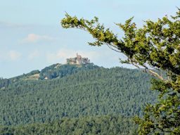 Walscheid