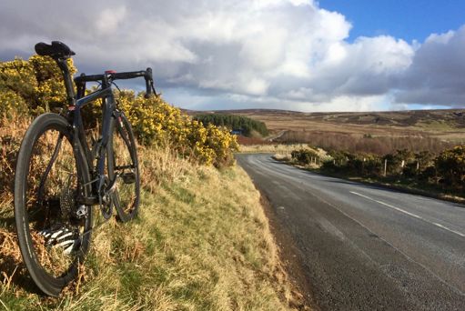 A sunny slighty snowy gorsey Rigg