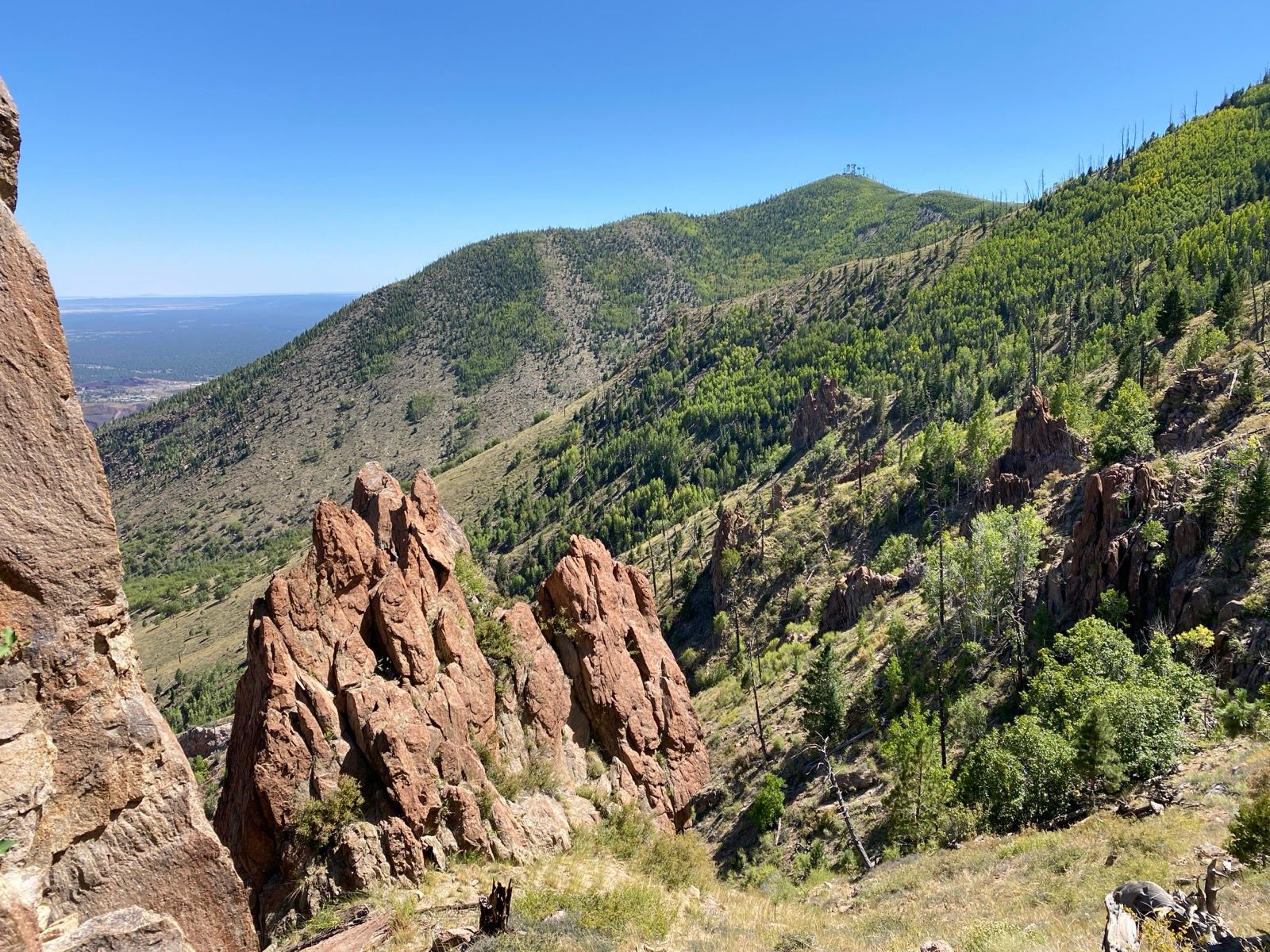 サンゾクマウンテン SCARPA スカルパ ゾディアック テック GTX｜SUNDAY MOUNTAIN｜サンデー