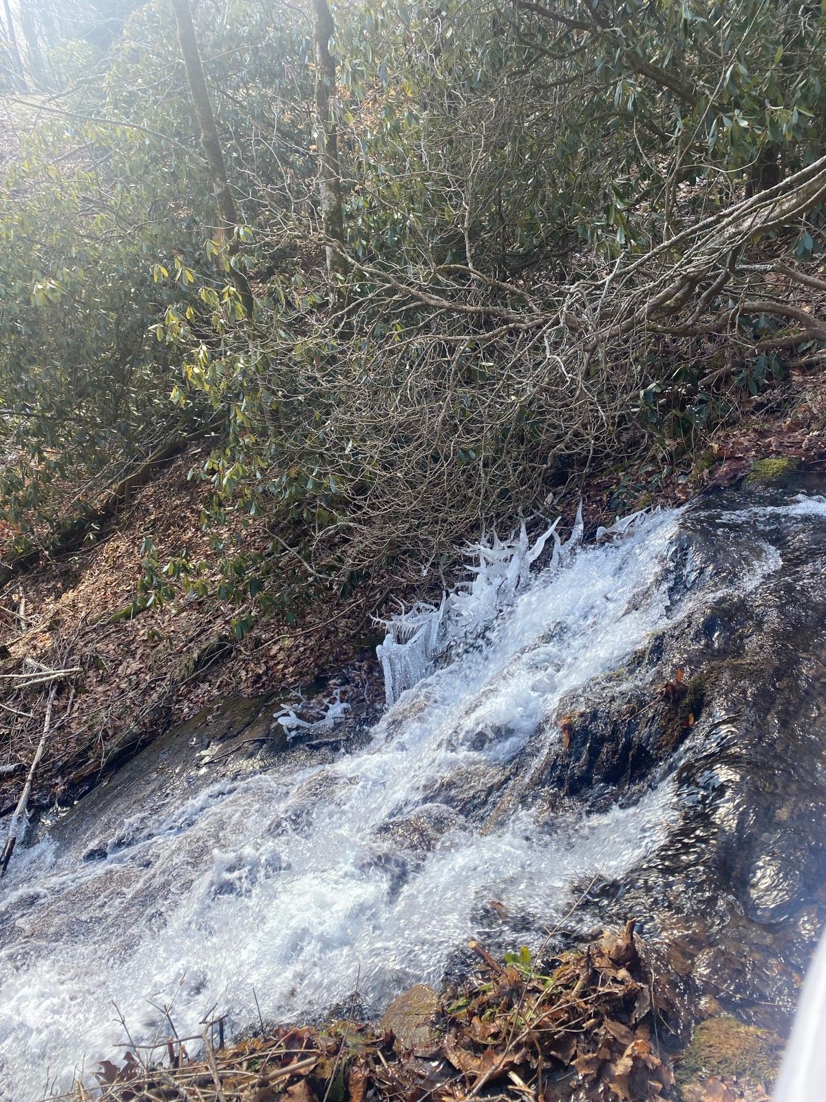 Blue Ridge Parkway: Pisgah Region | Stravaでの132.0 mi