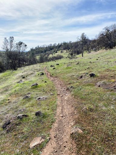 Single Track State of Mind Today