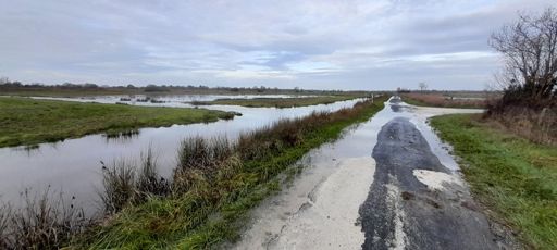 Circuit 7 entre Tonnay-Charente  et Cabariot