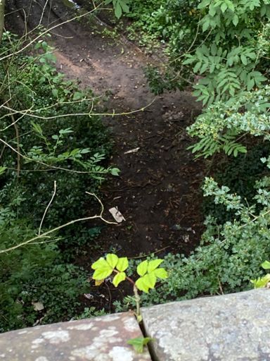 Ideal cycle/walking trail