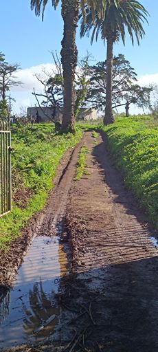 Temporada de ciclocross  🤪