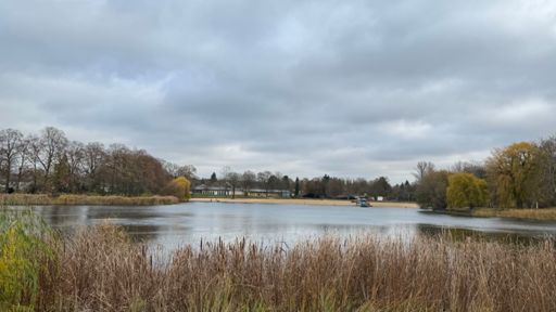 Novemberstimmung an diesem Dienstagvormittag um vierzehn Minuten vor Halb Zwölf. ☁️🌞🍁🍃