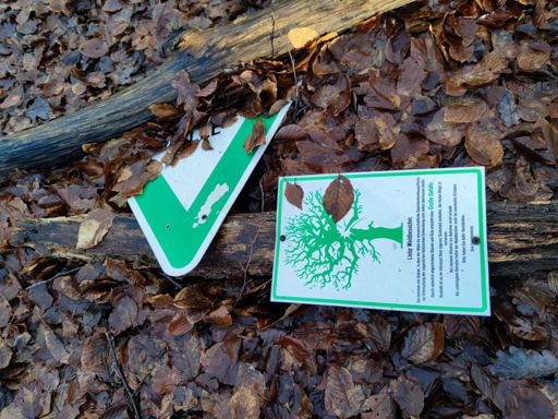 Warnung vor Astbruch 🤔