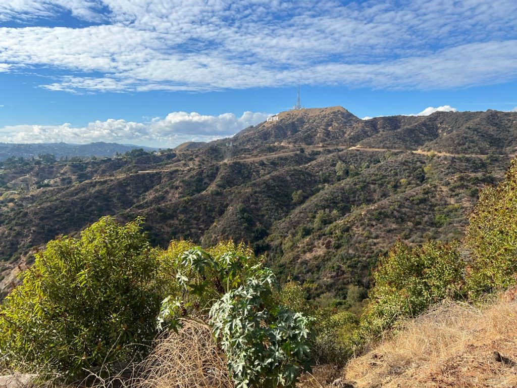 NBB run - Lake Hollywood photo 147