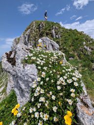 Crêtes au dessus du Schwarzsee : Fochsenflue et Chörblispitz