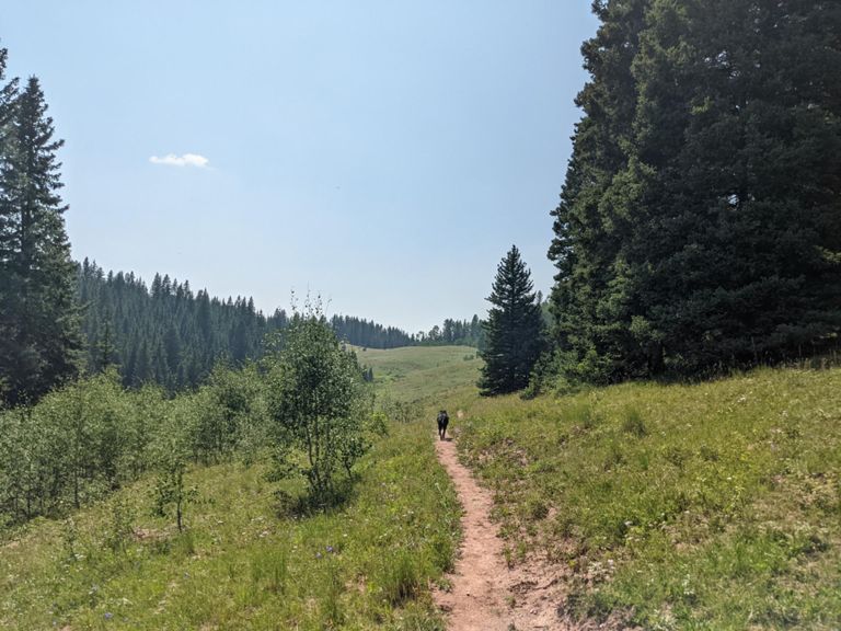 Moving the legs post run