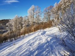 Retournemer Hohneck via la Schlucht