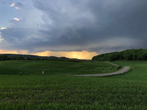 The calm b/4 the storm.