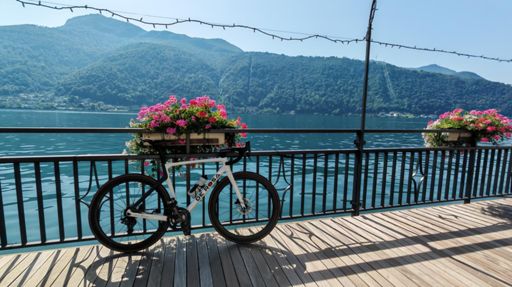 www.strava.com