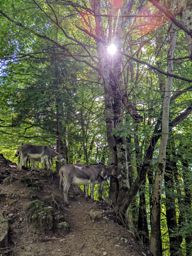 Wägital avec Raphaël et Sandrine