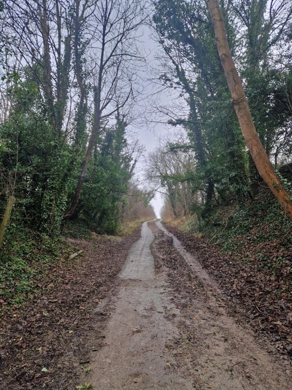 route-highlight