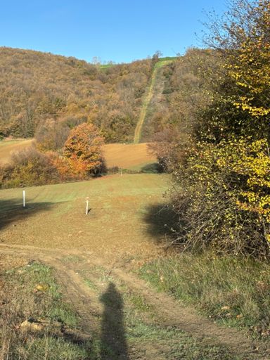 çıkmayı denesem mi?🤔