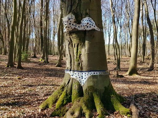 Kunst am Baum?