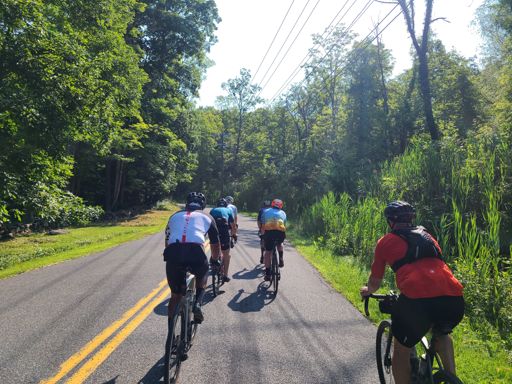 Part of the long-distance pace group on the road.