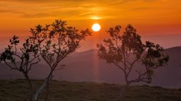 Crapahutage matinal dans les hautes vosges