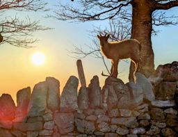 Creux du van, gorges de l’Areuse, retour par le dos d’âne
