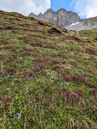 Rando ferrata kandersteg