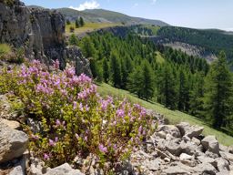Lac de Lignin en VTT