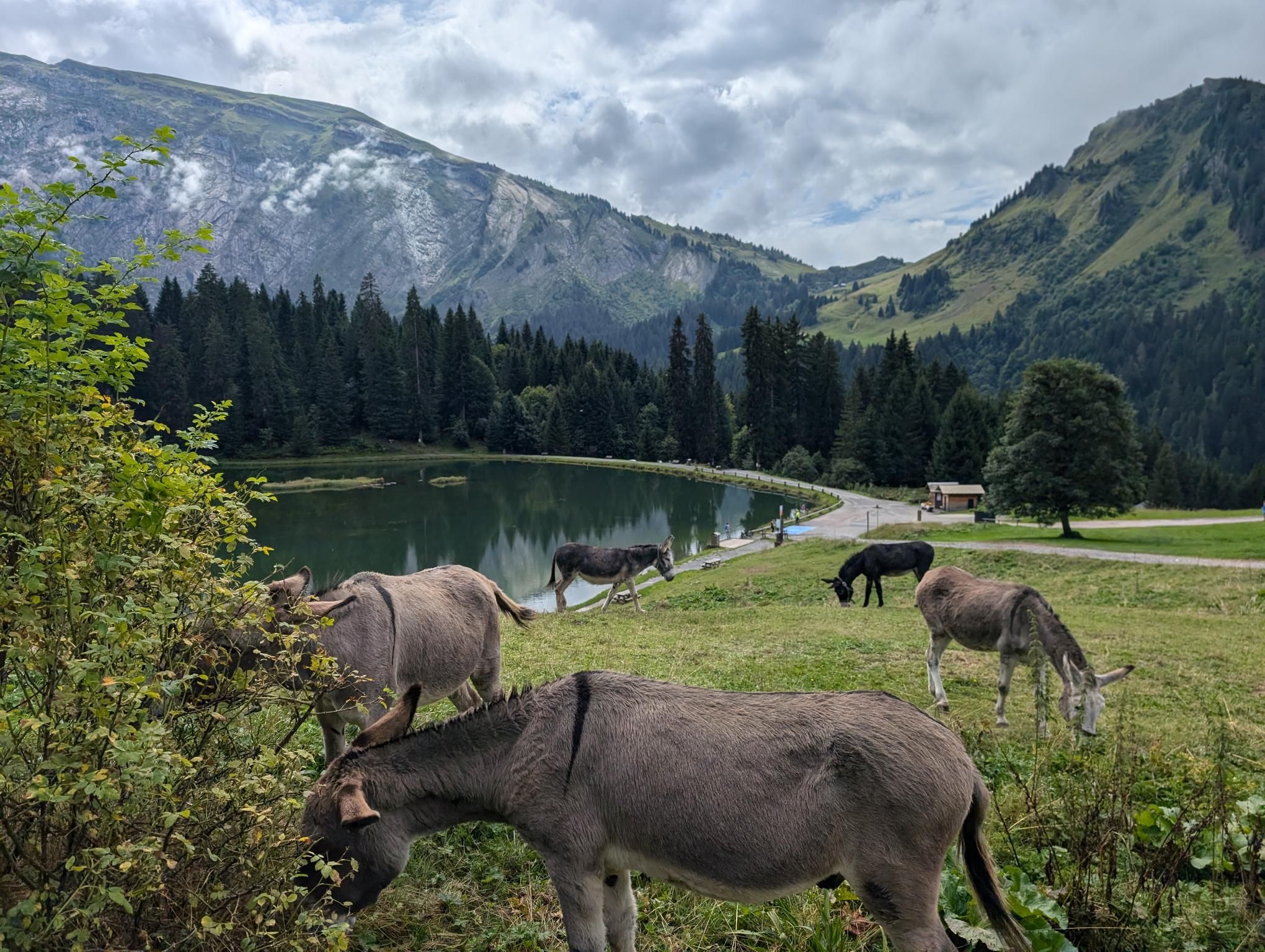 GR 5 Part 1 - Day 4 photo 10