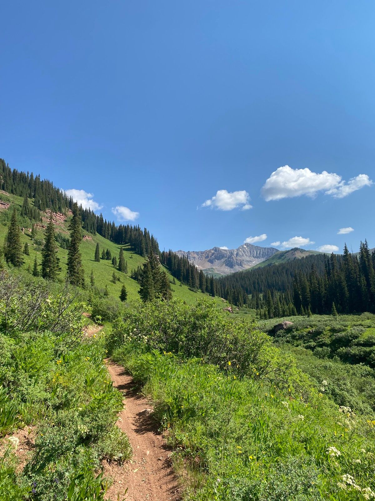 Taylor Rutt Taylor Rutt | Strava Cyclist Profile