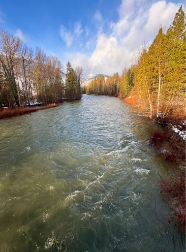 River running less muddy and lower level than yesterday.