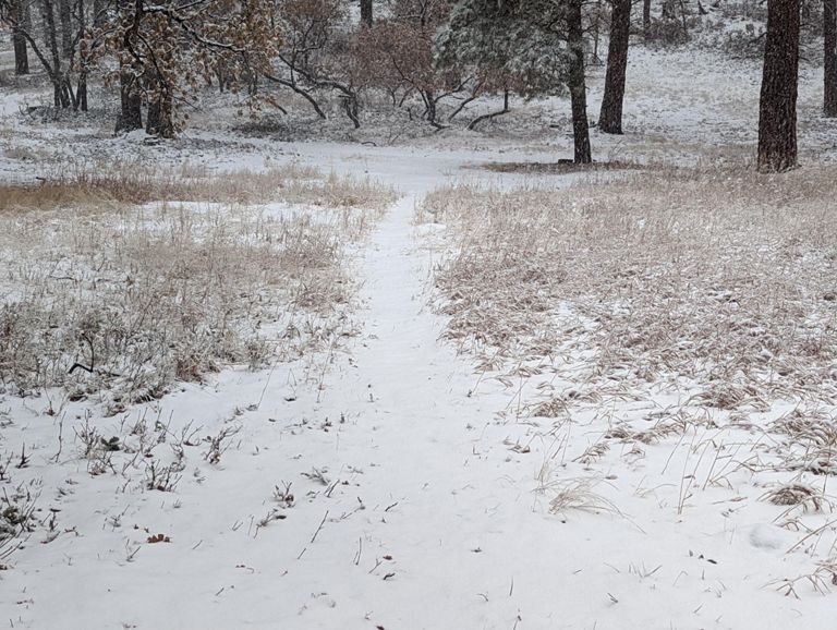 Winter has begun ❄️