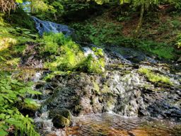 Retournemer au sentier des roches