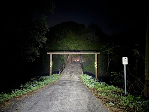 The tree on the left on the far side of the bridge is the "oldest one" as far as I can tell from the map, but there wasn't a marker. The guy at the gas station I stopped at said he had heard about it and thought there was a marker, but maybe it's physically on the tree and I couldn't find it in the dark. Or maybe it was a different tree? It looks pretty huge and old, though.