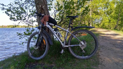 Появилась мысль заехать к родственникам на дачу, и помыть Джамика из шланга. Уж больно неопрятно он, бедняга, выглядит. Тем паче накануне лета.