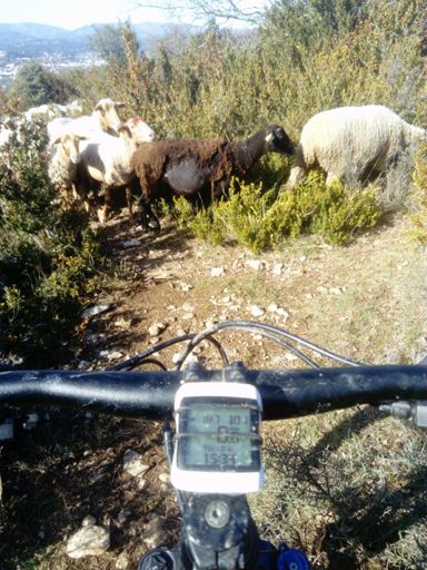 Chercher l'intrus...