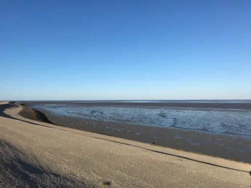 Eems bij extra laagwater