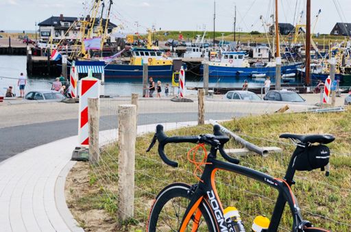 Vissersboten in de haven van Oudeschild.