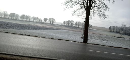 30 shades of Grey 🩶👽