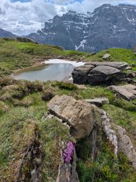 Klöntalersee Wiggis