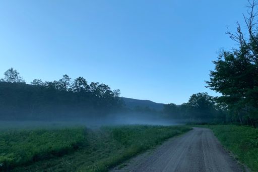 Morning fog on Steam Mill Rd