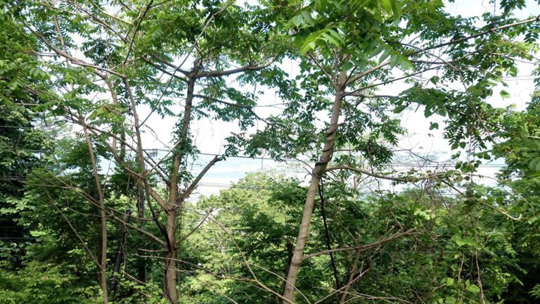 ちょっとだけ諏訪湖。