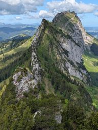 Chöpfenberg Tierberg