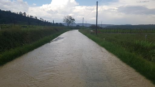 Voilà ce qui d appelle arriver après le déluge!