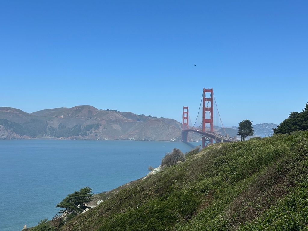 Butterlap (Presidio & Golden Gate Park) photo 126